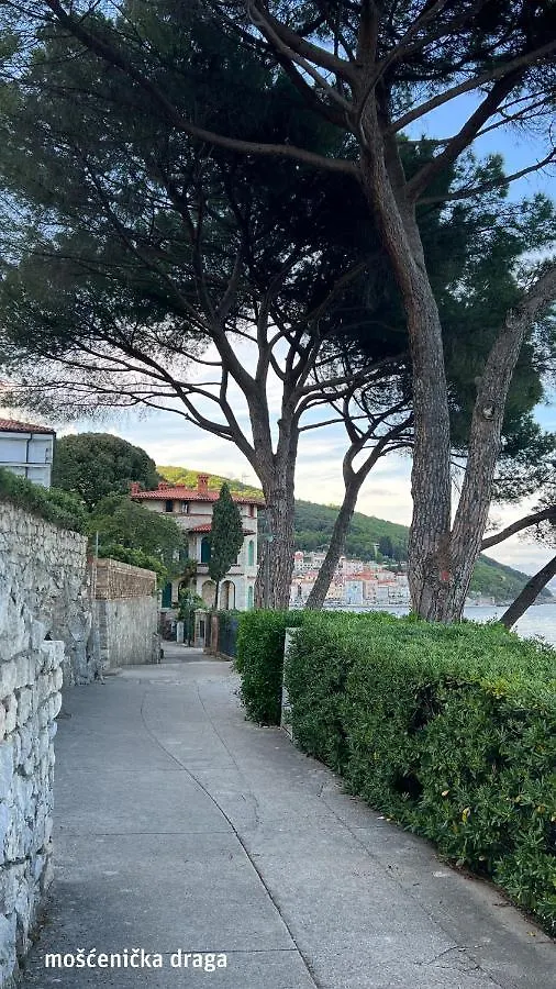 Seaview Apartments Croatia Karla Moscenicka Draga Croatia